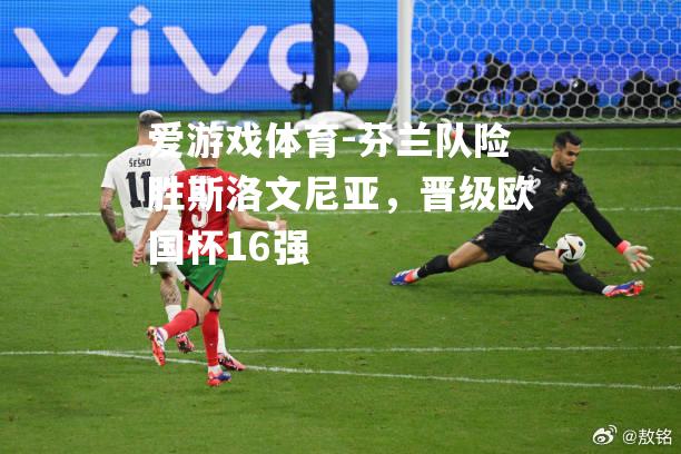 芬兰队险胜斯洛文尼亚，晋级欧国杯16强